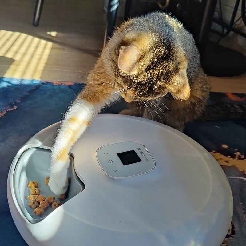 Pettadore Nutri Turn - Futterautomat