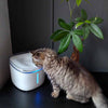 Pettadore Hydrate Ultra -  Drinkfontein Katten met App Smart Kattenfontein met UV sterilisator